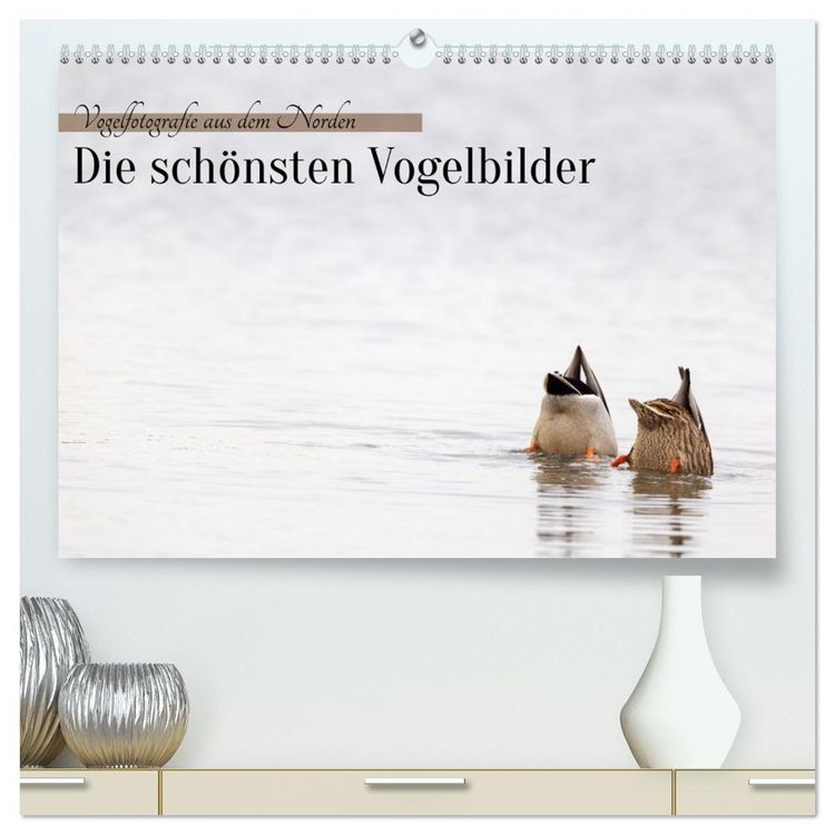 Produktbild: Vogelfotografie aus dem Norden (hochwertiger Premium Wandkalender 2027 DIN A2 quer), Kunstdruck in Hochglanz