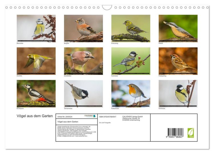 Produktbild: V&ouml;gel aus dem Garten (Wandkalender 2026 DIN A3 quer), CALVENDO Monatskalender