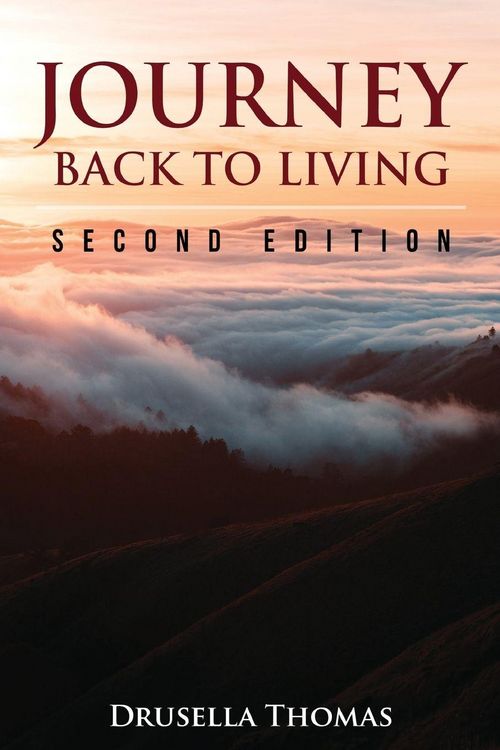 Produktbild: Journey Back to Living