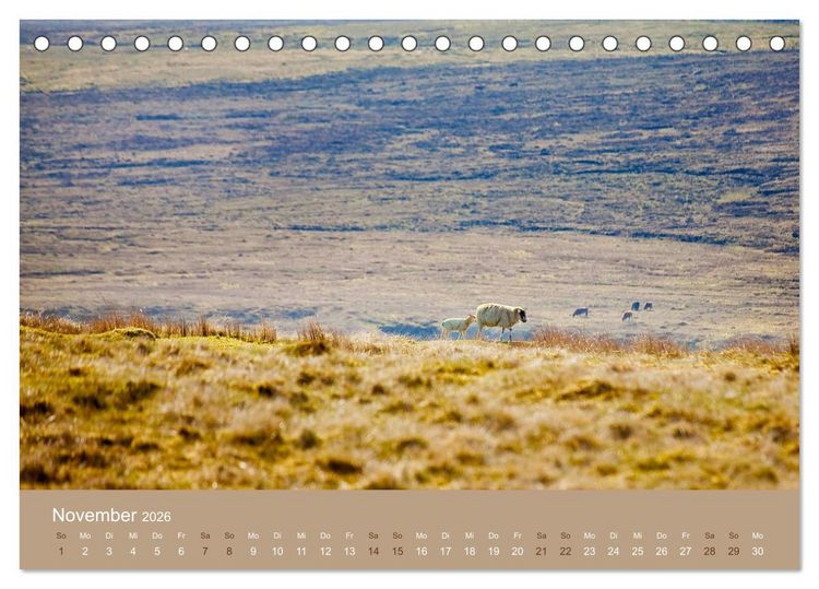 Produktbild: Unter Schafen - Wegbegleiter auf Reisen (Tischkalender 2026 DIN A5 quer), CALVENDO Monatskalender