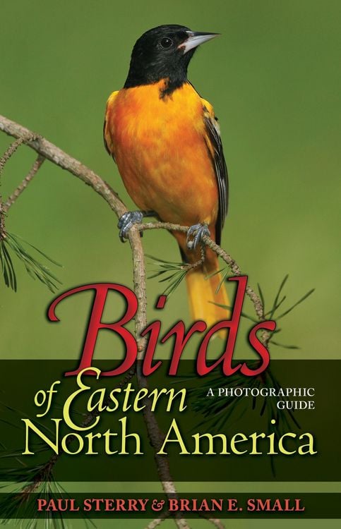 Produktbild: Birds of Eastern North America
