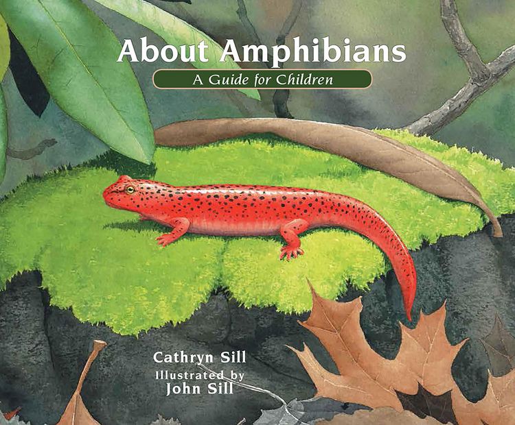 Produktbild: About Amphibians