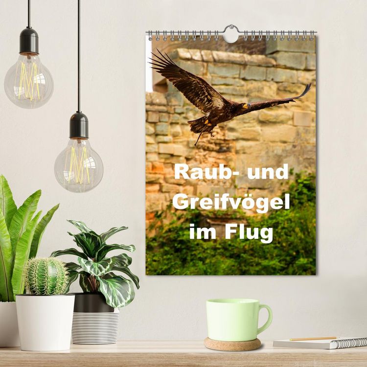 Produktbild: Raub- und Greifv&ouml;gel im Flug (Wandkalender 2026 DIN A4 hoch), CALVENDO Monatskalender