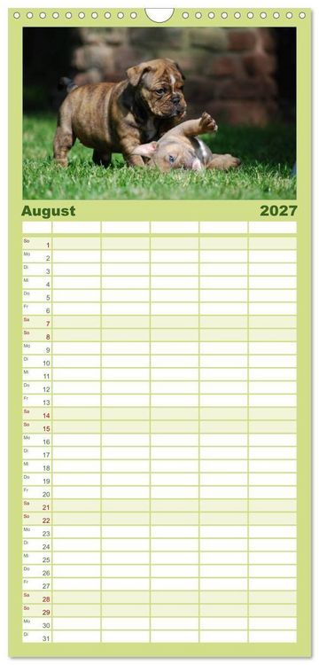 Produktbild: Familienplaner 2027 - Bulldoggen-Kinder mit 5 Spalten (Wandkalender, 21 x 45 cm) CALVENDO