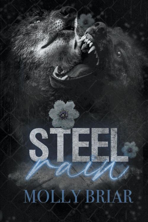 Produktbild: Steel Rain