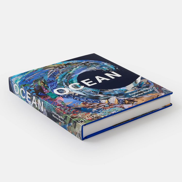 Produktbild: Ocean, Exploring the Marine World