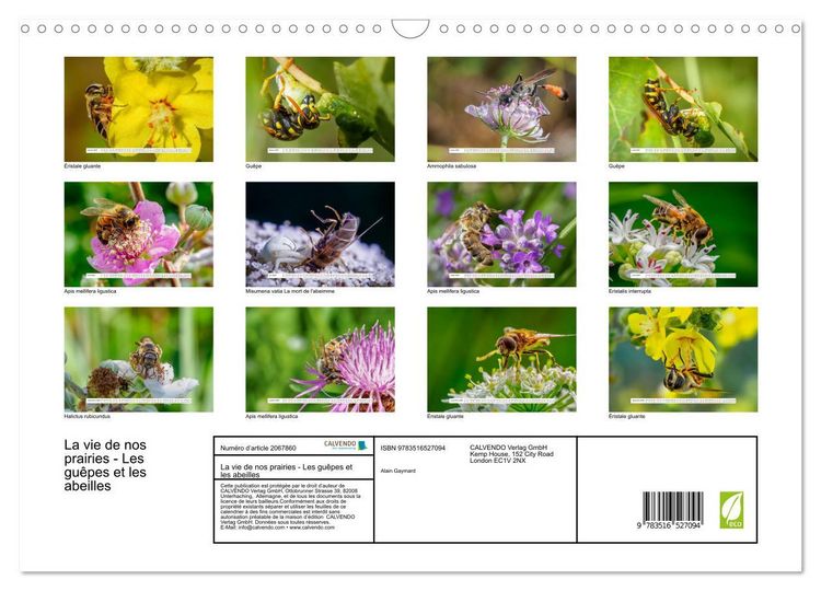 Produktbild: La vie de nos prairies - Les gu&ecirc;pes et les abeilles (Calendrier mural 2026 DIN A3 vertical), CALVENDO calendrier mensuel