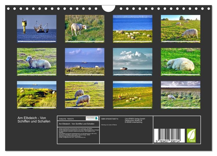 Produktbild: Am Elbdeich - Von Schiffen und Schafen (Wandkalender 2026 DIN A4 quer), CALVENDO Monatskalender