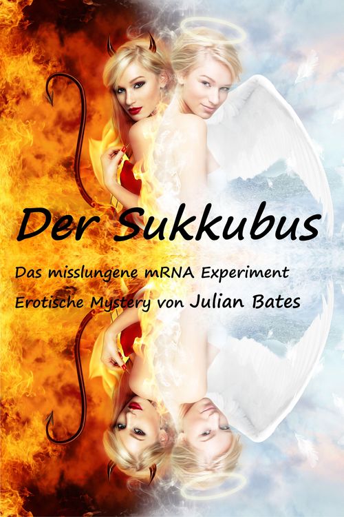 Produktbild: Der Sukkubus