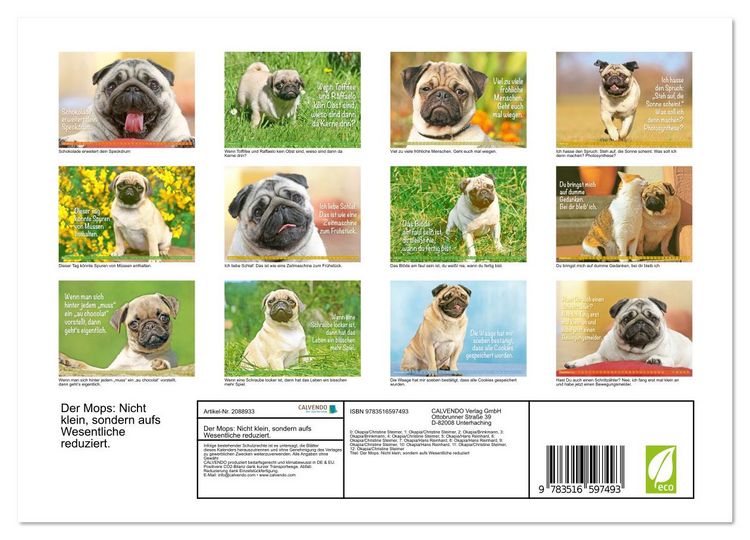 Produktbild: Der Mops: Nicht klein, sondern aufs Wesentliche reduziert. (Wandkalender 2026 DIN A4 quer), CALVENDO Monatskalender