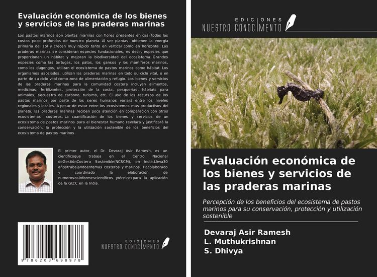 Produktbild: Evaluaci&oacute;n econ&oacute;mica de los bienes y servicios de las praderas marinas