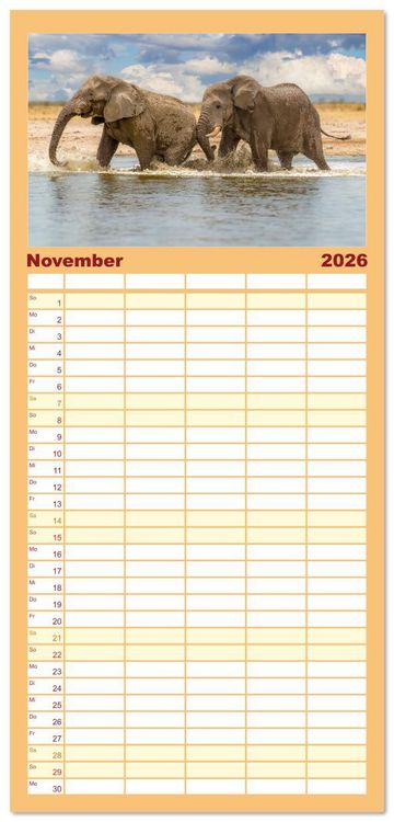 Produktbild: Familienplaner 2026 - Action in der Savanne mit 5 Spalten (Wandkalender, 21 x 45 cm) CALVENDO