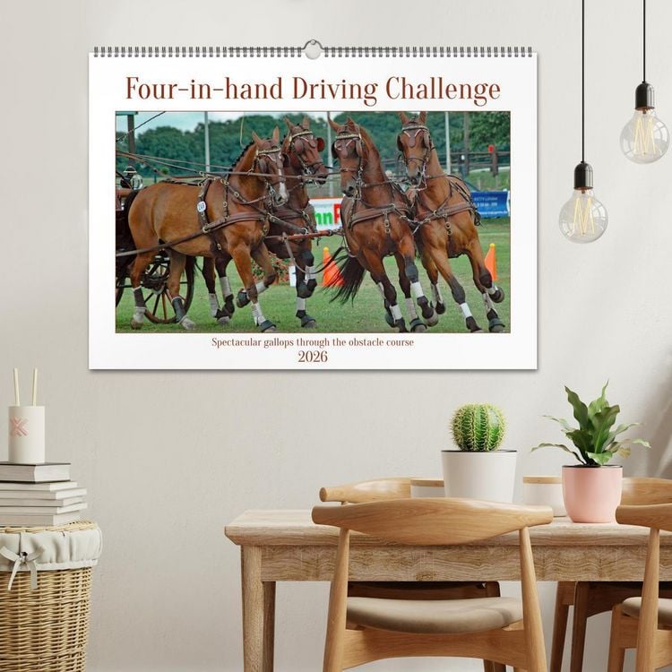 Produktbild: Four-in-hand Driving Challenge (Wall Calendar 2026 DIN A2 landscape), CALVENDO 12 Month Wall Calendar