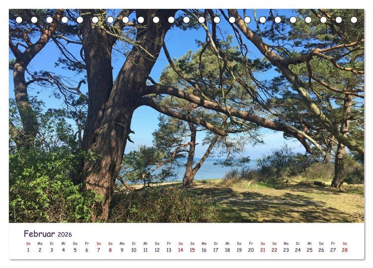 Produktbild: Natur und Landschaft Mecklenburg - Vorpommern 2026 (Tischkalender 2026 DIN A5 quer), CALVENDO Monatskalender