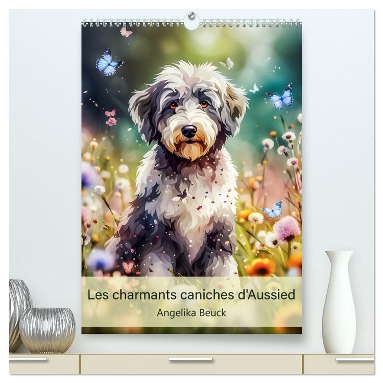 Produktbild: Les charmants caniches d'Aussied - Angelika Beuck (Calendrier mural 2026 DIN A2 horizontal) calendrier de bureau