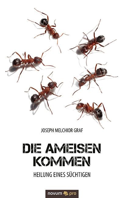 Produktbild: Die Ameisen kommen