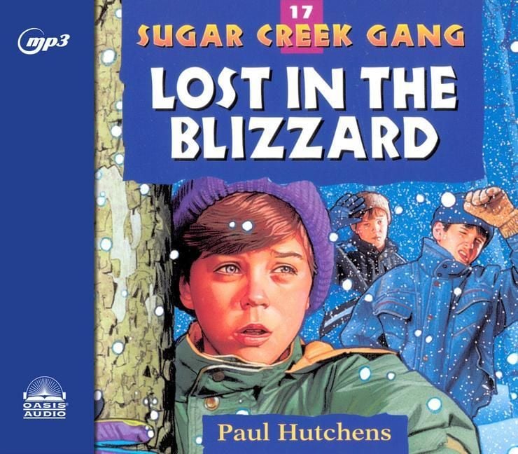 Produktbild: Lost in the Blizzard
