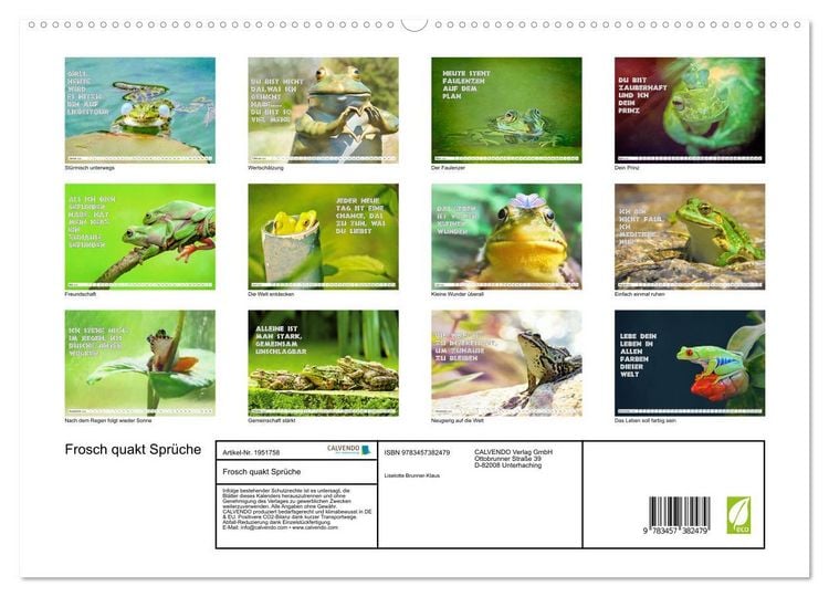 Produktbild: Frosch quakt Spr&uuml;che (hochwertiger Premium Wandkalender 2026 DIN A2 quer), Kunstdruck in Hochglanz