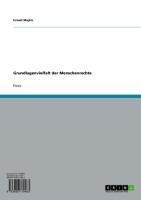 Produktbild: Grundlagenvielfalt der Menschenrechte