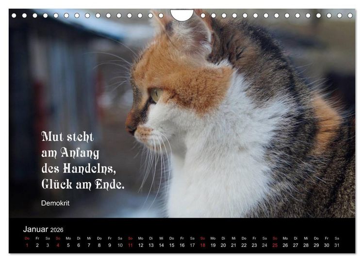 Produktbild: Gl&uuml;ckskatze - Mit Zitaten zum Thema Gl&uuml;ck (Wandkalender 2026 DIN A4 quer), CALVENDO Monatskalender