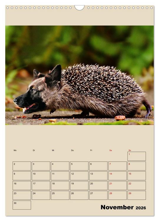 Produktbild: Seltsame Tiere - da stimmt doch was nicht... (Wandkalender 2026 DIN A3 hoch), CALVENDO Monatskalender