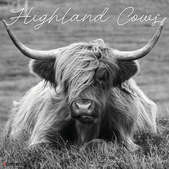 Produktbild: Highland Cows (B&w) 2026 Wall Calendar