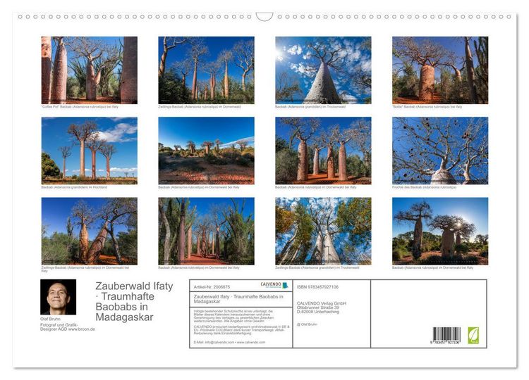 Produktbild: Zauberwald Ifaty &middot; Traumhafte Baobabs in Madagaskar (Wandkalender 2026 DIN A2 quer), CALVENDO Monatskalender