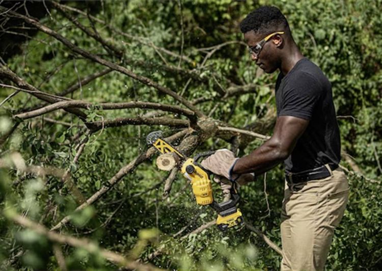 Produktbild: DEWALT Akku Akku-Kettens&auml;ge Schwertl&auml;nge 200mm