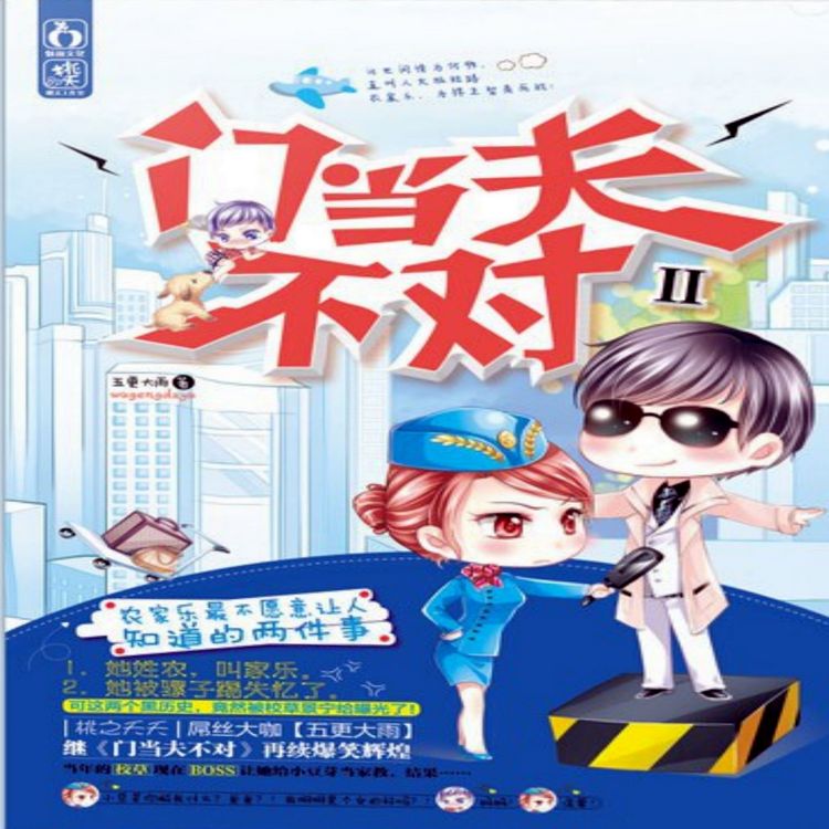 Produktbild: 门当夫不对