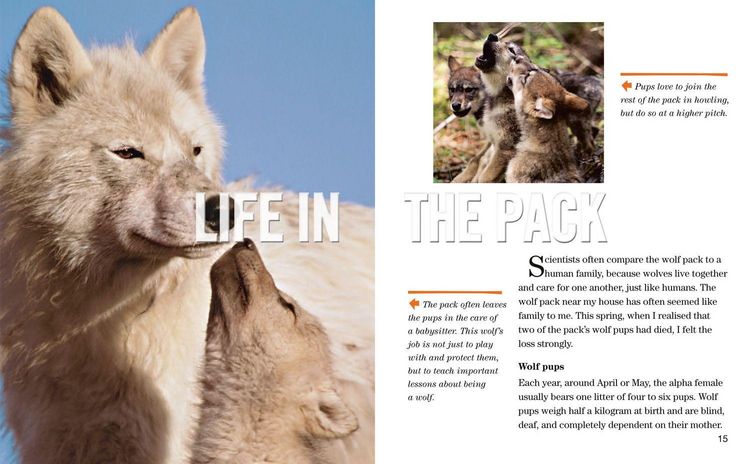 Produktbild: Face to Face with Wolves