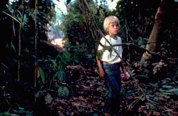 Produktbild: Der Smaragdwald
