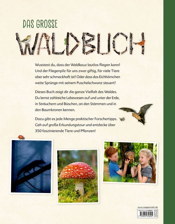 Produktbild: Das gro&szlig;e Waldbuch