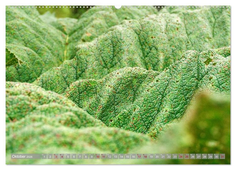 Produktbild: Bekanntes und Unbekanntes Patagonien (Wandkalender 2026 DIN A2 quer), CALVENDO Monatskalender