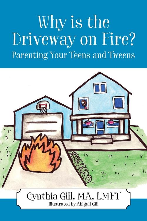 Produktbild: Why is the Driveway on Fire? Parenting Your Teens and Tweens