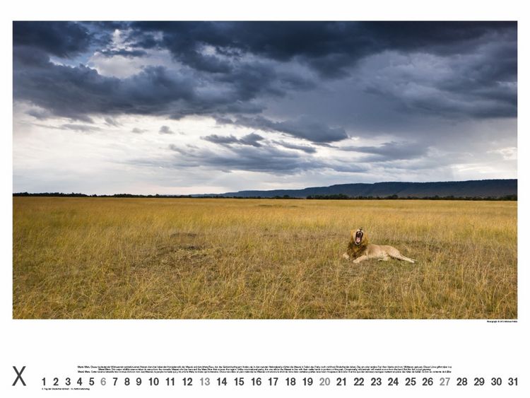 Produktbild: Kenia 2013