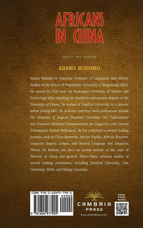 Produktbild: Africans in China