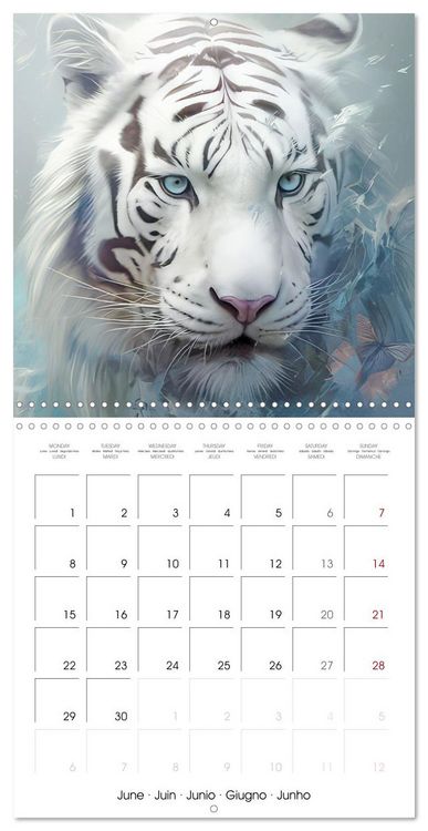 Produktbild: Delicate animal portraits (Wall Calendar 2026 12 &times; 12 Inch) CALVENDO 12 Month Wall Calendar