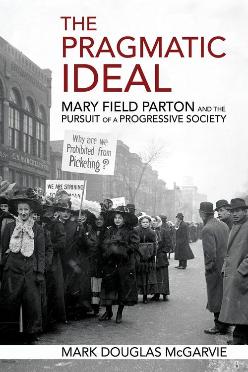 Produktbild: The Pragmatic Ideal