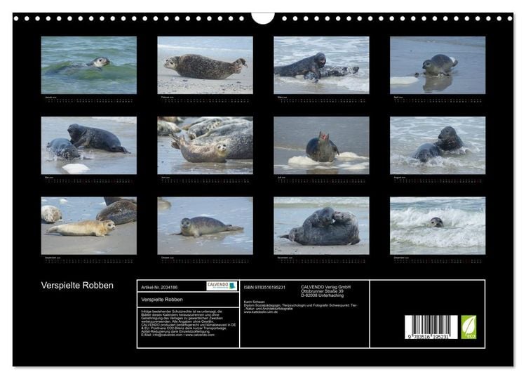 Produktbild: Verspielte Robben (Wandkalender 2026 DIN A3 quer), CALVENDO Monatskalender