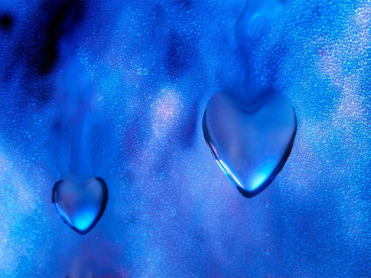 Produktbild: CALVENDO Puzzle Die gro&szlig;e Liebe | 1000 Teile Lege-Gr&ouml;&szlig;e 64x48cm Foto-Puzzle f&uuml;r gl&uuml;ckliche Stunden
