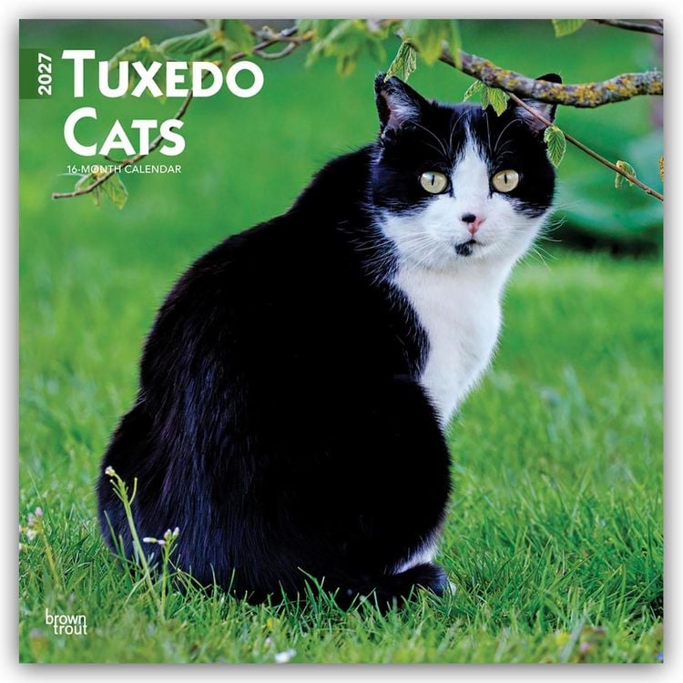 Produktbild: Tuxedo Cats &ndash; Tuxedo Katzen 2027 &ndash; 16-Monatskalender