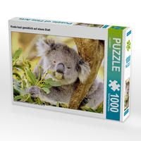 Produktbild: CALVENDO Puzzle Koala kaut gen&uuml;&szlig;lich auf einem Blatt | 1000 Teile Lege-Gr&ouml;&szlig;e 64x48cm Foto-Puzzle f&uuml;r gl&uuml;ckliche Stunden