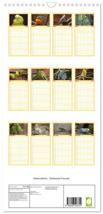 Produktbild: Familienplaner 2026 - Wellensittiche - Gefiederte Freunde mit 5 Spalten (Wandkalender, 21 x 45 cm) CALVENDO