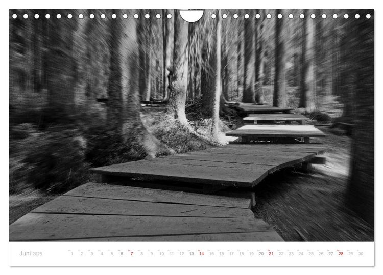 Produktbild: Mystischer Schwarzwald (Wandkalender 2026 DIN A4 quer), CALVENDO Monatskalender