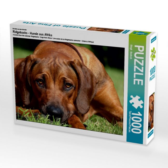 Produktbild: CALVENDO Puzzle Ein Motiv aus dem Kalender Ridgebacks - Hunde aus Afrika | 1000 Teile Lege-Gr&ouml;&szlig;e 64x48cm Foto-Puzzle f&uuml;r gl&uuml;ckliche Stunden