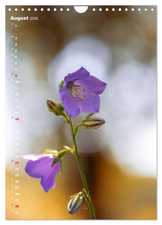 Produktbild: Colors of Nature (Wandkalender 2026 DIN A4 hoch), CALVENDO Monatskalender