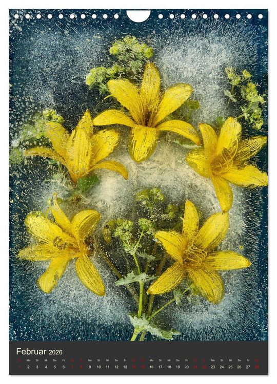 Produktbild: Magische Eisblumen (Wandkalender 2026 DIN A4 hoch), CALVENDO Monatskalender
