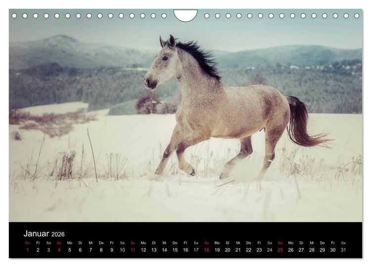 Produktbild: Pferde Tr&auml;ume (Wandkalender 2026 DIN A4 quer), CALVENDO Monatskalender