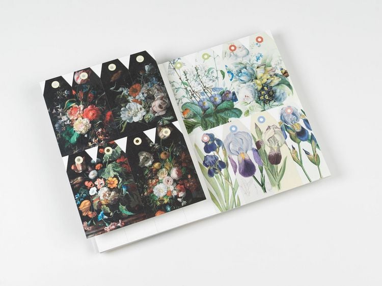 Produktbild: Flowers