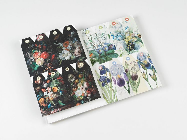 Produktbild: Flowers